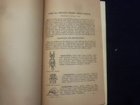 1939 4-H CLUB INSECT MANUAL - SOFTCOVER - OFFICE OF ERNEST MCFARLAND - J 9647