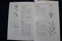 1965 COMMON WILD FLOWERS OF NEW YORK STATE SOFTCOVER BOOK - K 996