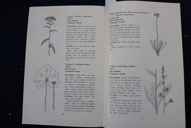 1965 COMMON WILD FLOWERS OF NEW YORK STATE SOFTCOVER BOOK - K 996