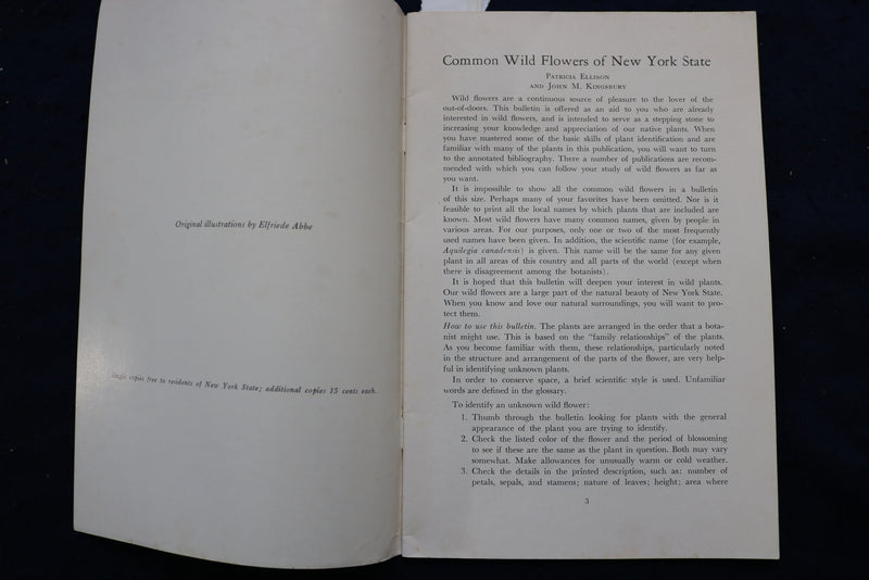 1965 COMMON WILD FLOWERS OF NEW YORK STATE SOFTCOVER BOOK - K 996