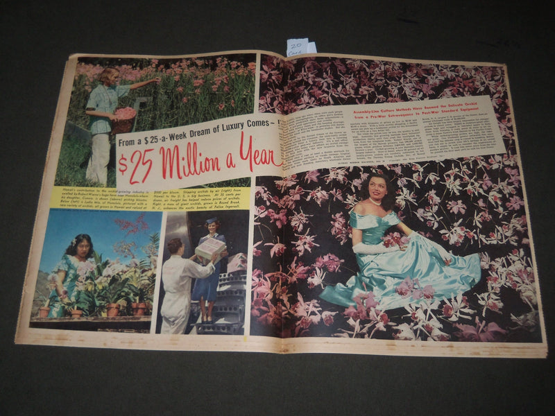 1950 JULY 30 SUNDAY MIRROR MAGAZINE SECTION - JANE POWELL COVER - J 3019