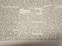 1855 APRIL UNITED STATES JOURNAL NEWSPAPER - JOHN RANDOLPH - NP 3879D