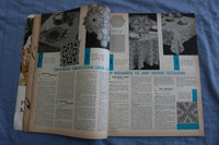 1951 MCCALL'S NEEDLEWORK & CRAFTS ANNUAL MAGAZINE - GREAT PATTERNS - SP 4786I