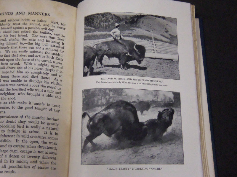 1923 THE MINDS AND MANNERS OF WILD ANIMALS BY W. T. HORNADAY - KD 5816