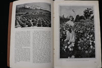 1926 CALIFORNIA VIEW BOOK - SOFTCOVER - K 2398