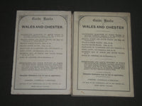 1874 PHILLIPSON & GOLDERS GUIDE TO CHESTER AND ITS VICINITY LOT OF 2 - J 2496