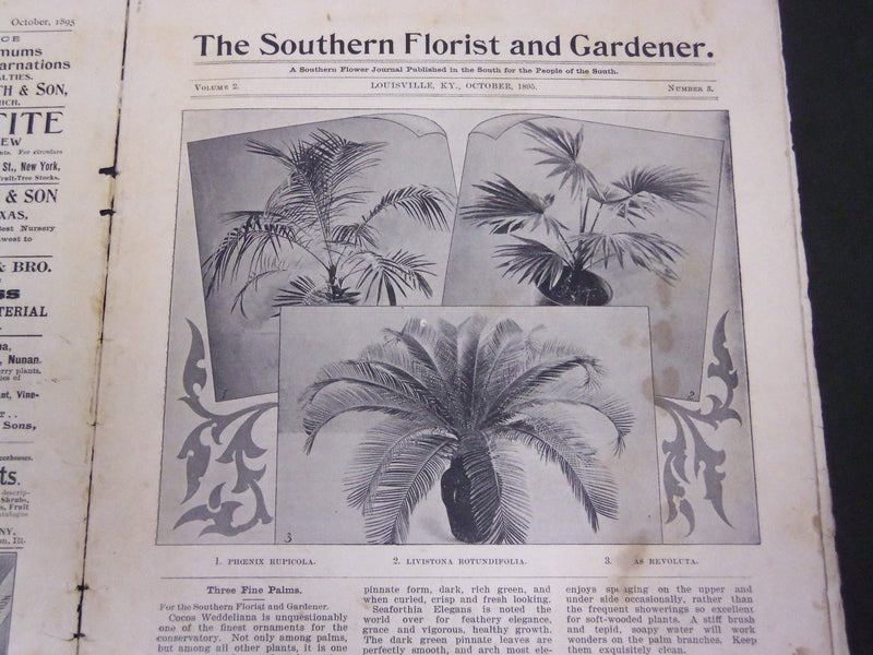 1895-1896 SOUTHERN FLORIST AND GARDENER MAGAZINE LOT OF 6 - LOUISVILLE - O 40