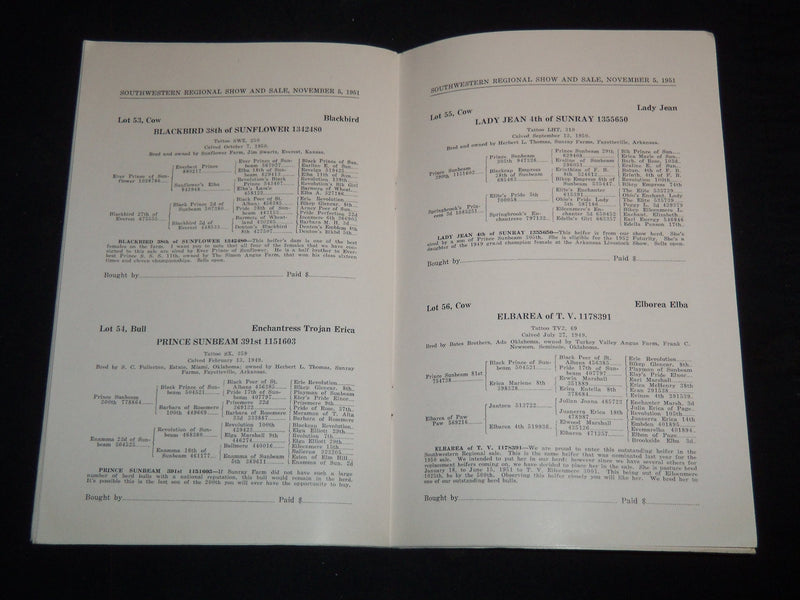 1951 SOUTHWESTERN REGIONAL ANGUS BREEDERS SHOW & SALE CATALOG - J 9086