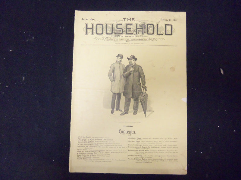 1893 JUNE THE HOUSEHOLD MAGAZINE - ILLUSTRATIONS, STORIES & ADS - ST 3938