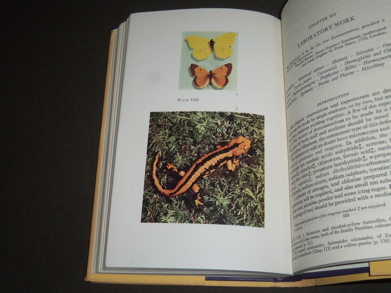 1960 THE NATURE OF ANIMAL COLOURS BY FOX & VEVERS BOOK - KD 4153