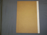 1908 SPOLIATION OF THE FALLS OF NIAGRA BY DR. J. W. SPENCER - J 4919