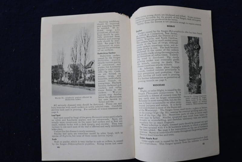 1942 & 1948 SHADE TREES CARE & COMMON DISEASES SOFTCOVER BOOKS -LOT OF 2- K 1414