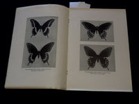 1914 OUR COMMON BUTTERFLIES BOOK BY FRANK E. LUTZ - LEAFLET NO. 38 - J 7301