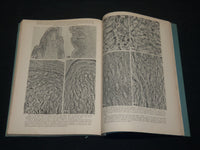 1929-1953 EXPERIMENTAL BIOLOGY & MEDICNIE SOCIETY PROCEEDINGS LOT OF 10- WR 336B