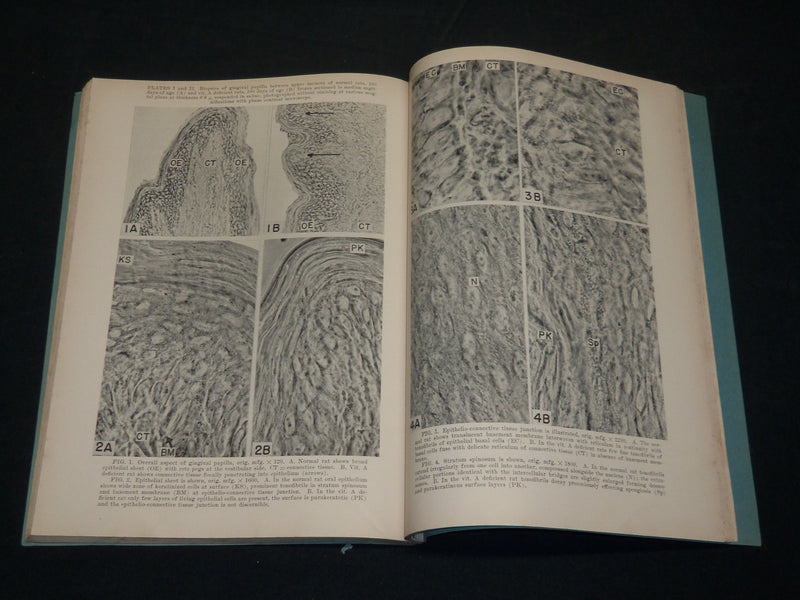 1929-1953 EXPERIMENTAL BIOLOGY & MEDICNIE SOCIETY PROCEEDINGS LOT OF 10- WR 336B