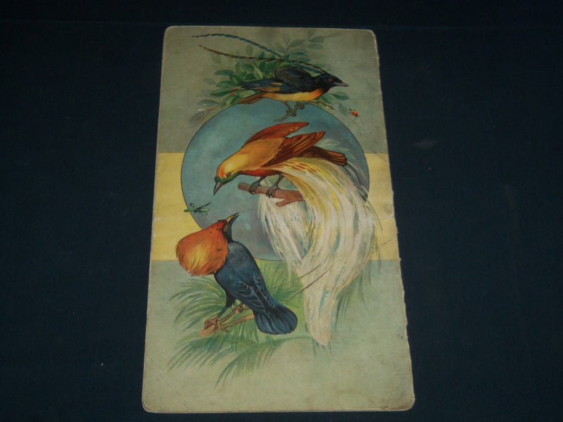 1916 A. B. C. BOOK OF BIRDS NO. 41 PICTURED BY W. F. STECHER - HODGMAN - J 3979