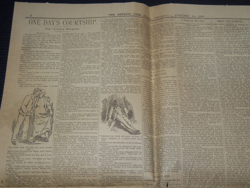 1891 JANUARY 15 THE WEEKLY DETROIT FREE PRESS NEWSPAPER - MICHIGAN - NP 8975
