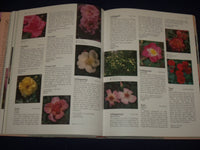 1993 THE ULTIMATE ROSE BOOK BY STIRLING MACOBOY - HARDCOVER - KD 2761