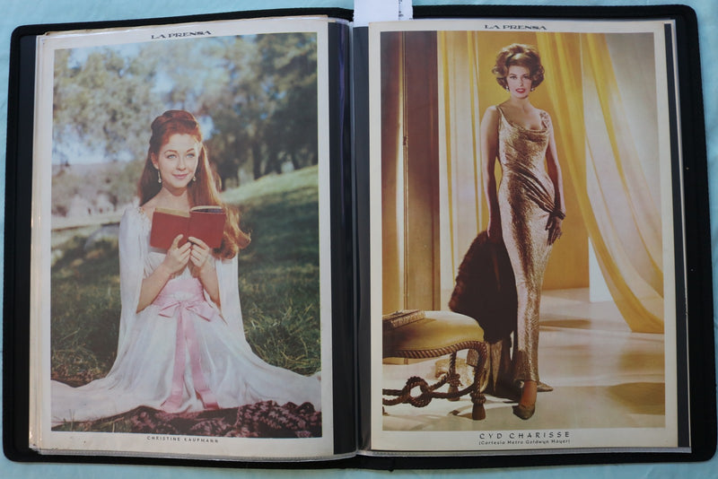MOVIE STAR SCRAPBOOK - SUZANNE PLESHETTE - DORIS DAY - #38