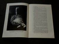 1953-1975 HAWAIIAN PUBLICATIONS LOT OF 6 - SOFTCOVER - J 6160