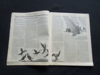 1929 MAY 11 THE SATURDAY EVENING POST MAGAZINE - ILLUSTRATED COVER -SP 1343