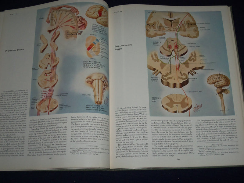 1964 CIBA COLLECTION OF MEDICAL ILLUSTRATIONS VOL NO. 1 - NERVOUS SYS. - KD 2343