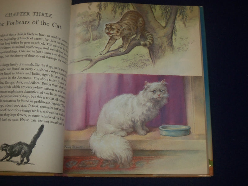 1947 FRIENDLY ANIMALS BOOK BY KARL SCHMIDT - GREAT ILLUSTRATIONS - KD 3162