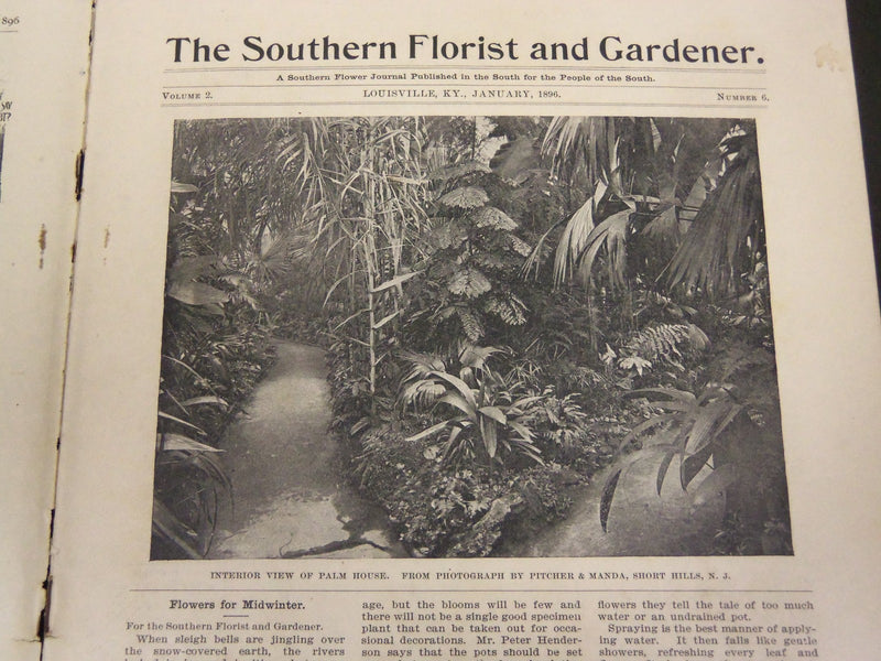 1895-1896 SOUTHERN FLORIST AND GARDENER MAGAZINE LOT OF 6 - LOUISVILLE - O 40