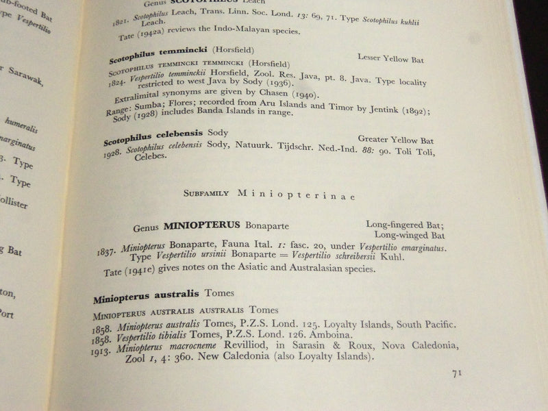 1954 LAND MAMMALS OF NEW GUINEA & CELEBES BOOK BY LAURIE & HILL - KD 4179
