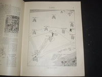 1924 MAY 29 LIFE MAGAZINE - PAPA! MAMMA SAYS TO BRING HOME CHOPS! - ST 6501