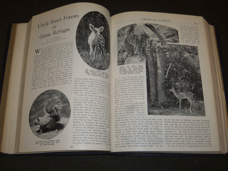 1926 JAN-DEC AMERICAN FORESTS & FOREST LIFE MAGAZINE BOUND VOLUME - R 408