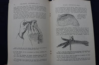 1949 PRESERVING BIRDS FOR STUDY SOFTCOVER BOOK BY EMMET R. BLAKE - K 1379