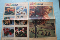 1950'S PHILADELPHIA INQUIRER COLORAMA SECTIONS - MOVIE STARS -LOT OF 18- NP 9232