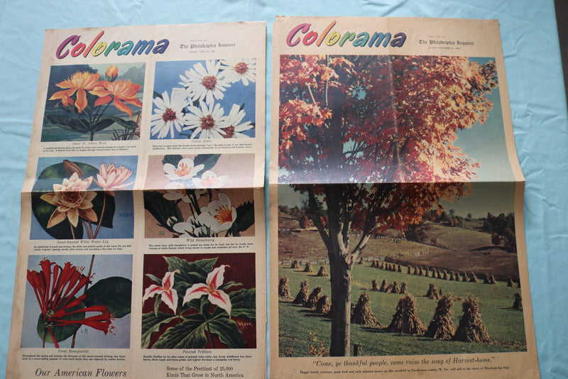 1950'S PHILADELPHIA INQUIRER COLORAMA SECTIONS - MOVIE STARS -LOT OF 18- NP 9232