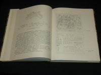 1978 TOMB RHINOCEROS HARDCOVER BOOK - INNER MONGOLIA - BEIJING - R 728I