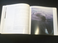 1997 THE WORLD OF THE ARCTIC WHALES SOFTCOVER BOOK - R 735Q