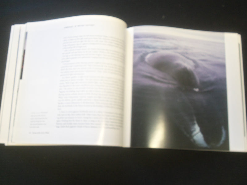 1997 THE WORLD OF THE ARCTIC WHALES SOFTCOVER BOOK - R 735Q