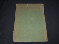 1915 VOLTE E SOFFITTI ITALIANI BOOK BY ARDUINO COLASANTI - NICE PRINTS - R 710D