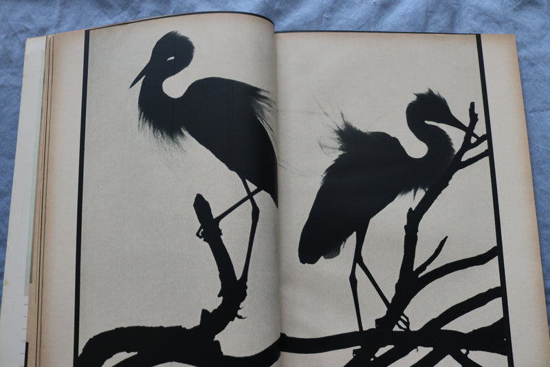 1963 PHOTOGRAPHY ANNUAL MAGAZINE - INTERNATIONAL EDITION - ST 5510U
