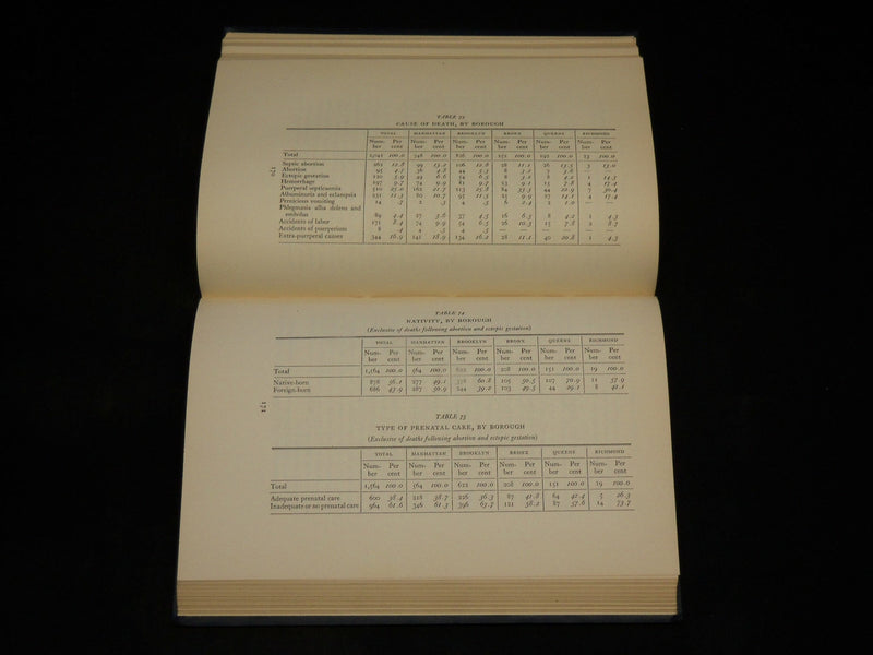 1933 MATERNAL MORTALITY IN NEW YORK CITY BOOK - PUERPERAL DEATHS - KD 2769H
