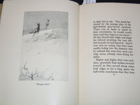1899 THE TRAIL OF THE SANDHILLSTAG BOOK BY ERNEST SETON-THOMPSON - KD 3369D