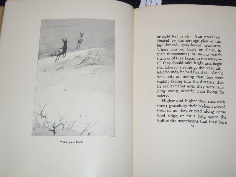 1899 THE TRAIL OF THE SANDHILLSTAG BOOK BY ERNEST SETON-THOMPSON - KD 3369D