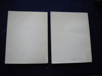 1979 ATLAS OF COLONIAL WATERBIRDS OF N.C. ESTUARIES SOFTCOVER -LOT OF 2- KD 8010