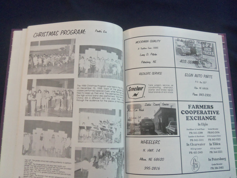 1989 PIRATEER PETERSBURG HIGH SCHOOL YEARBOOK - PETERSBURG, NEBRASKA - YB 2839
