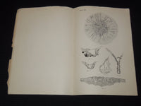 1907 JOHNS HOPKINS UNIVERSITY CIRCULAR LOT OF 2 - BALTIMORE MARYLAND - J 8076