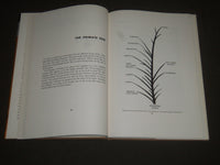 1954 THE MONKEY BOOK BY ERNEST R. WALKER - FIRST PRINTING - KD 4149