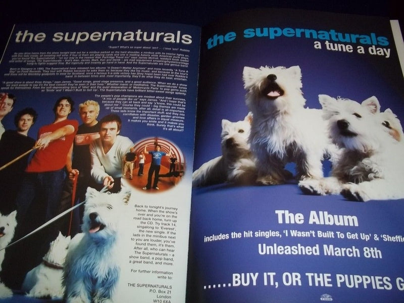 1999 ROBBIE WILLIAMS TOUR BOOK - ONE MORE FOR THE ROGUE - UK - II 7639