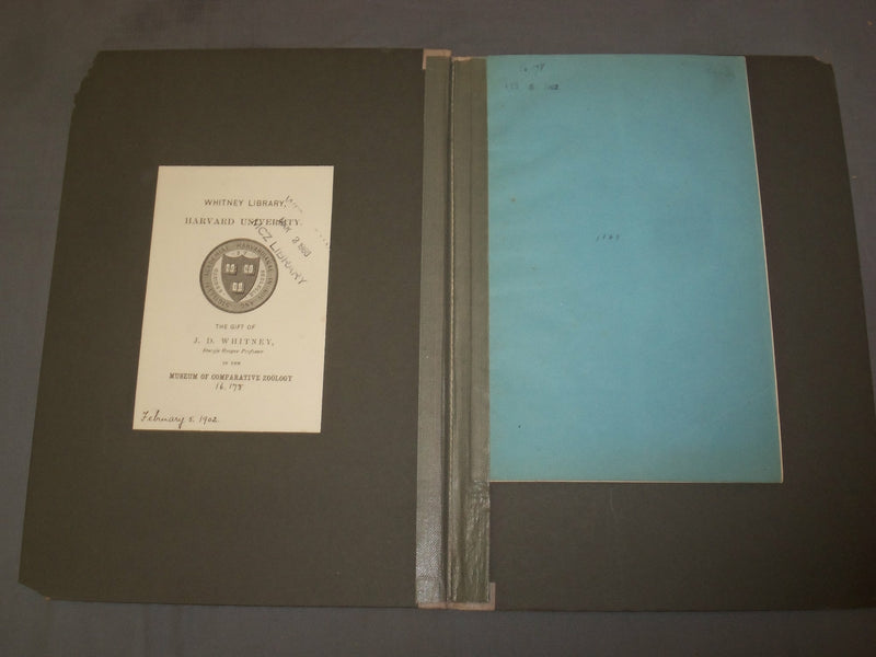 1863 ON THE CHEMICAL AND MINERALOGICAL RELATIONS OF METAMORPHIC ROCKS - J 4925