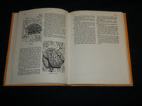 1974 AN ILLUSTRATED ENCYCLOPEDIA OF ABORIGINAL HARDCOVER BOOK - KD 7157