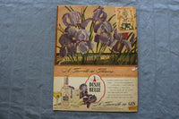1945 AUGUST OUTDOOR LIFE MAGAZINE - HOW TO FORECAST THE WEATHER COVER - SP 6182G